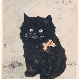 Meet your Posher, Eliza